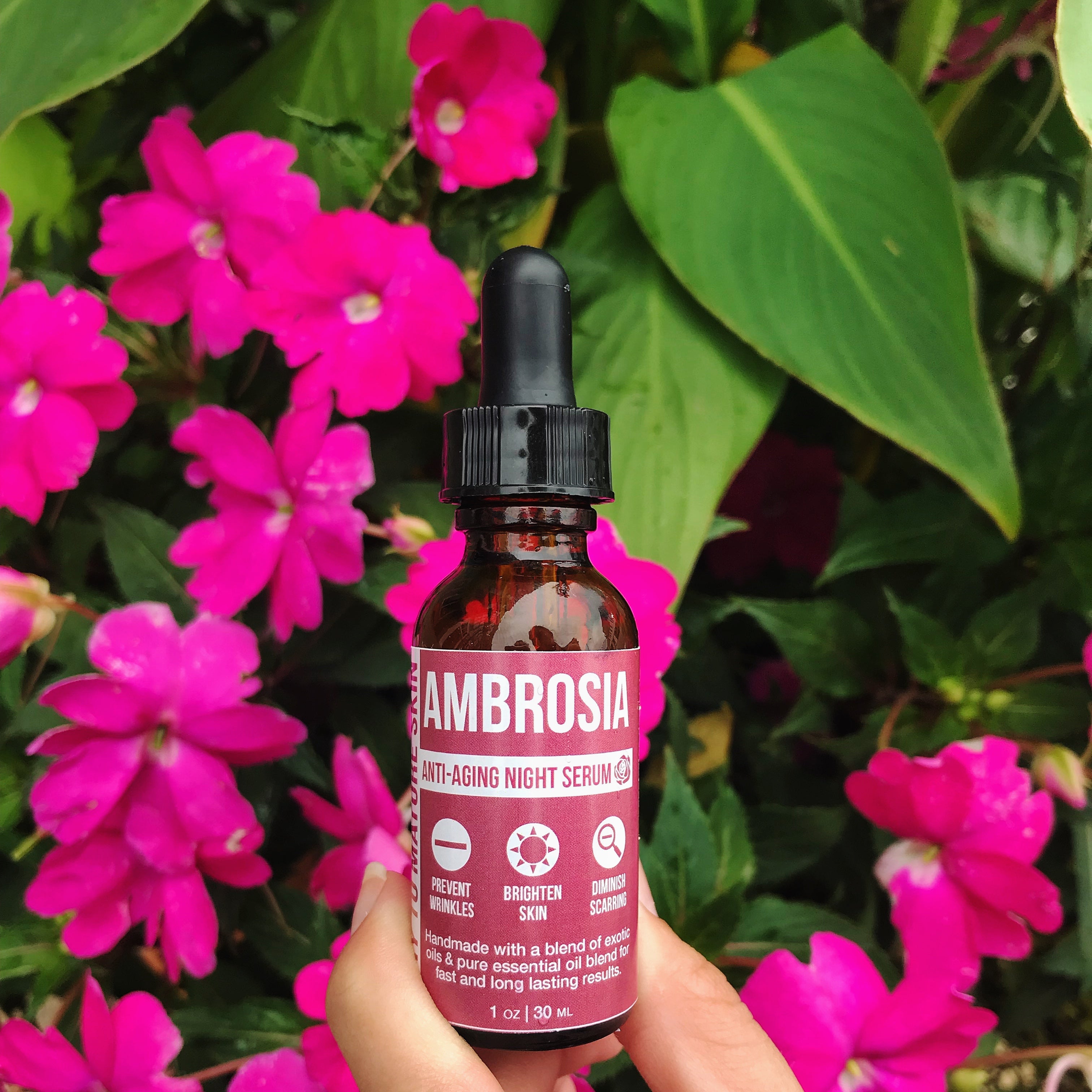 Ambrosia Anti-Aging Night Serum