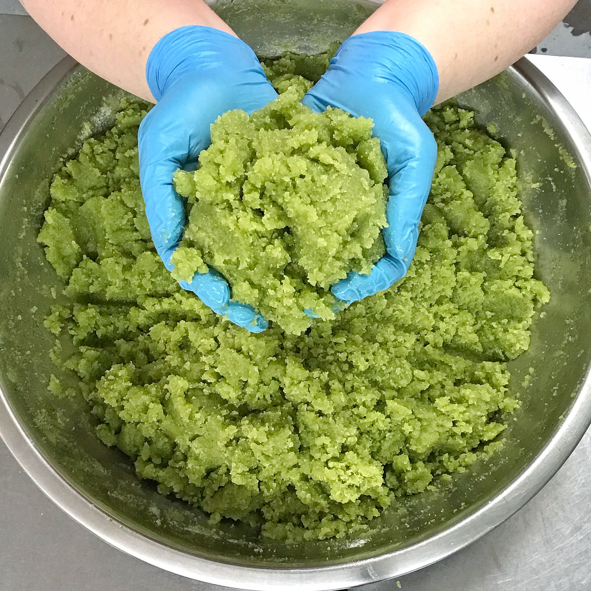 Blue-gloved hands holding a handful of freshly mixed green scrub over a large steel bowl
